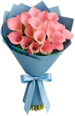 Букет из 19 розовых калл