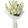 Букет из воздушной маттиолы «Белый джаз»